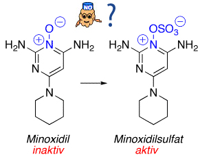 Minoxidil