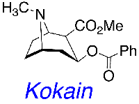 Kokain