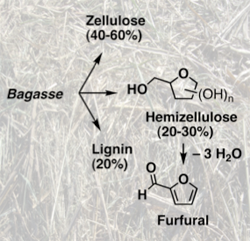 Bagasse zu Furan