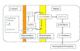 Ciclo della carnitina