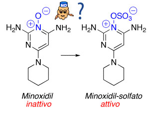 Minoxidil