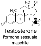 Testoreone