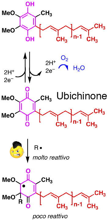 Ubichinon